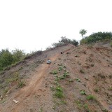sm_P9120237