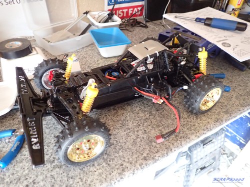 sm_P4090134.jpg