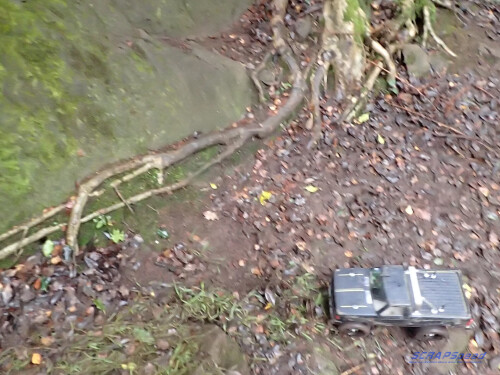 sm_PA280159.jpeg