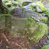 sm_PA280253